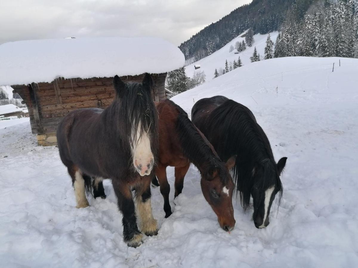 Au Pre Des Chevaux Bed & Breakfast Chateau-d'Oex Exterior foto