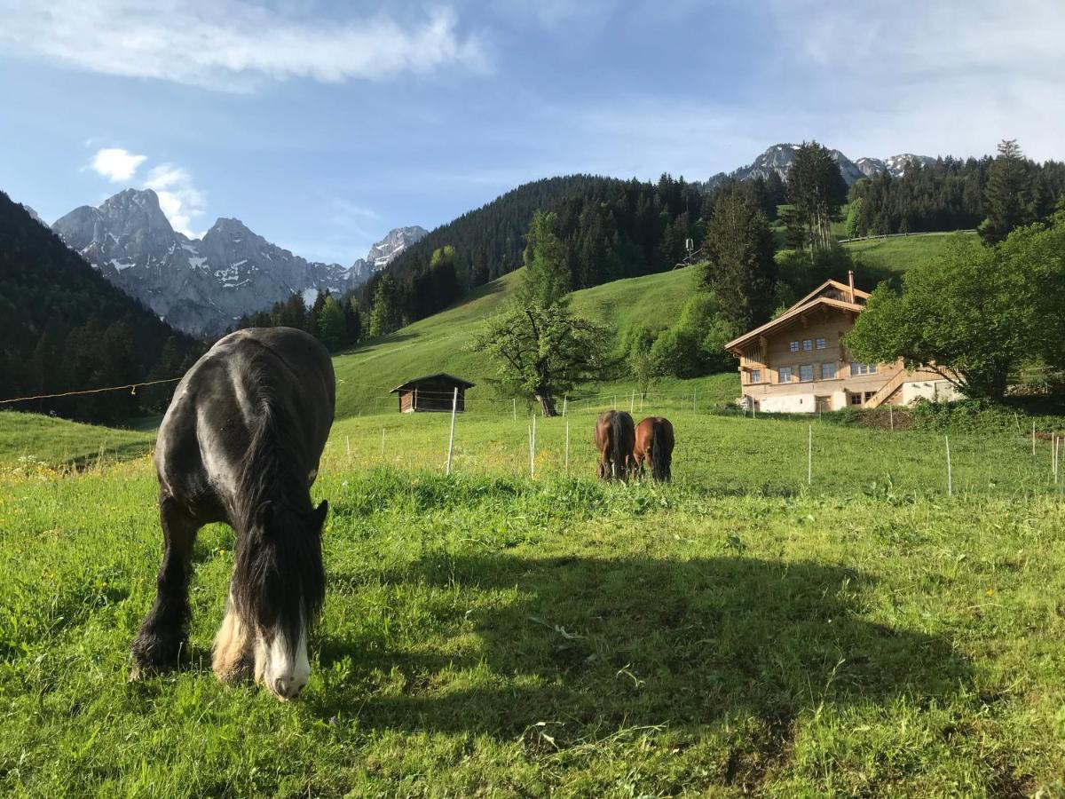 Au Pre Des Chevaux Bed & Breakfast Chateau-d'Oex Exterior foto
